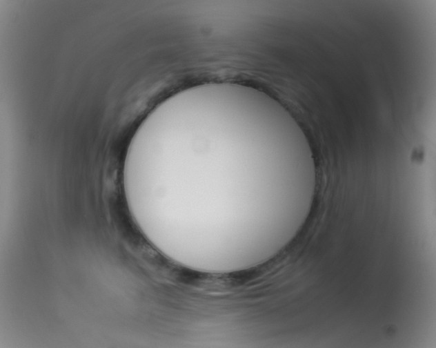 X0000113540615200909181025