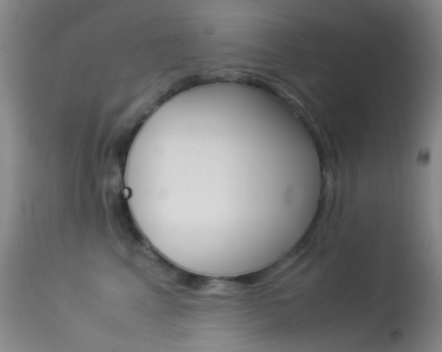 X0000113540617200909181025
