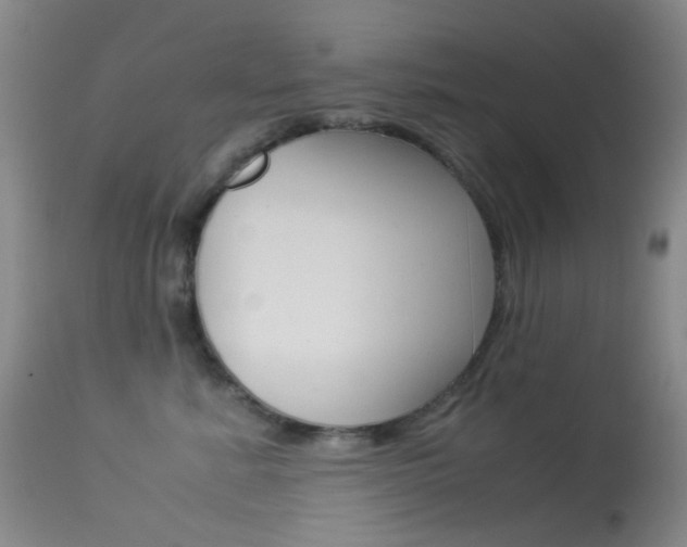 X0000113540619200909181025