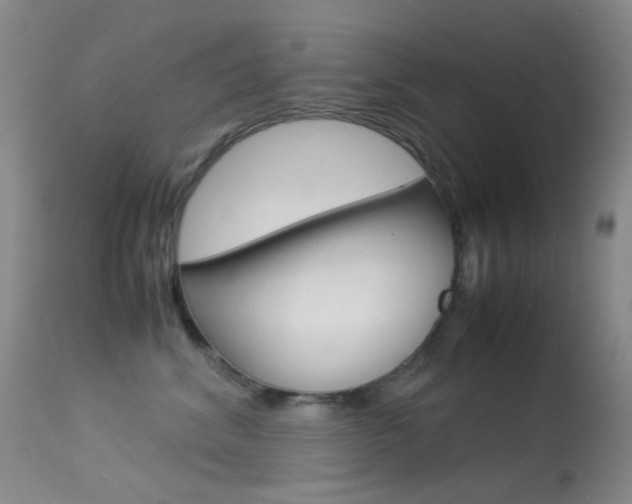 X0000113540620200909181025