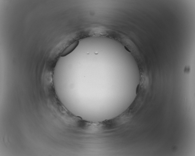 X0000113540621200909181025