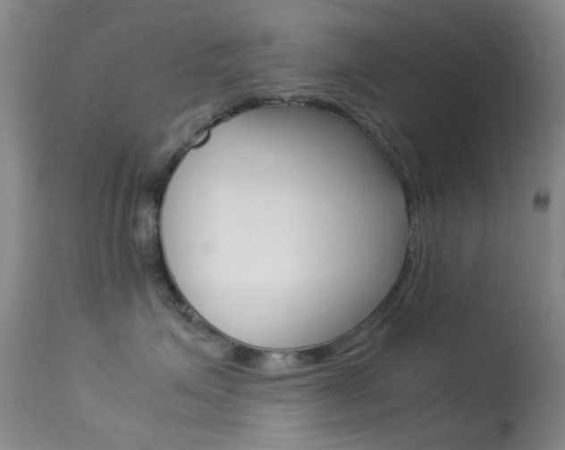 X0000113540623200909181025
