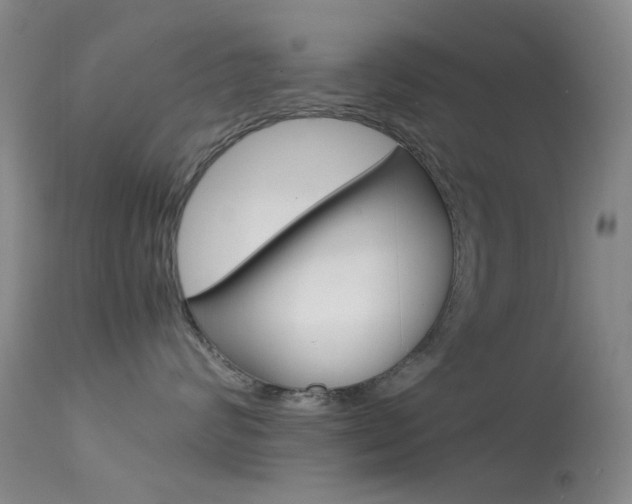 X0000113540624200909181025