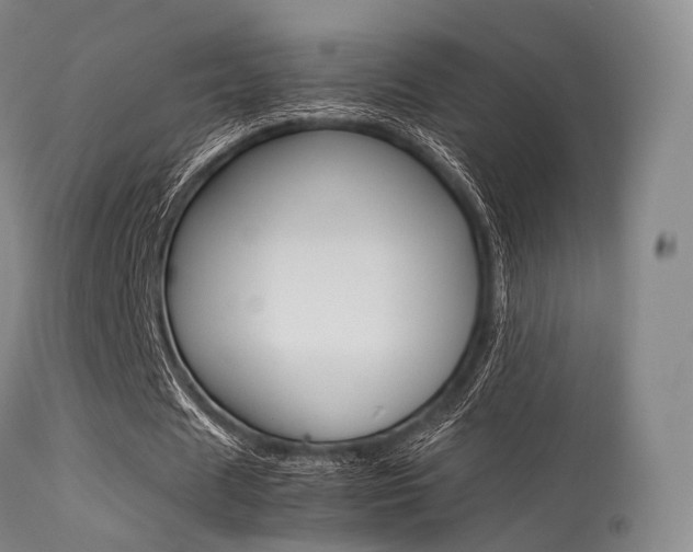 X0000113540625200909181024