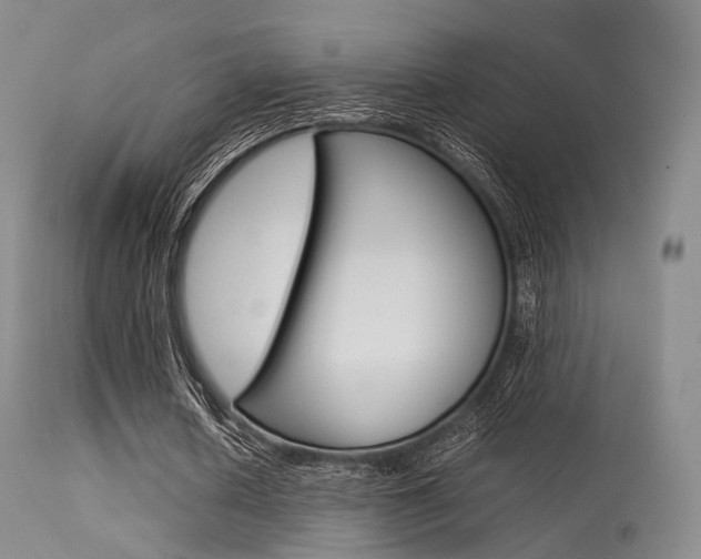 X0000113540626200909181024
