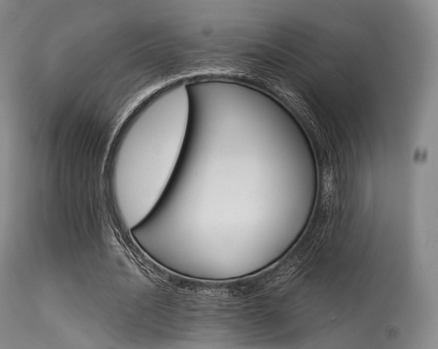 X0000113540628200909181024