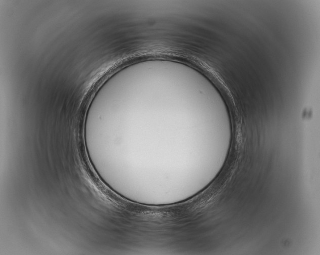 X0000113540629200909181024