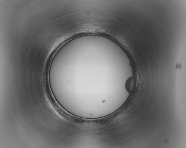 X0000113540630200909181024