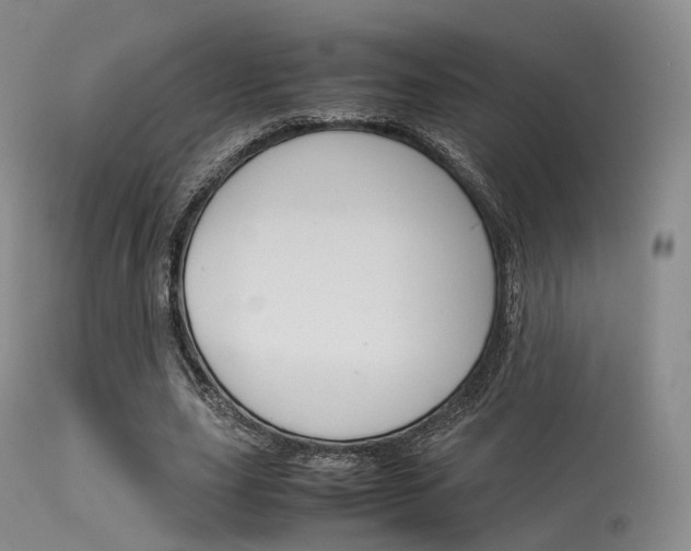 X0000113540631200909181024