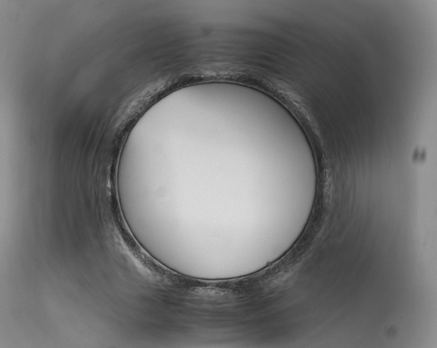 X0000113540633200909181024