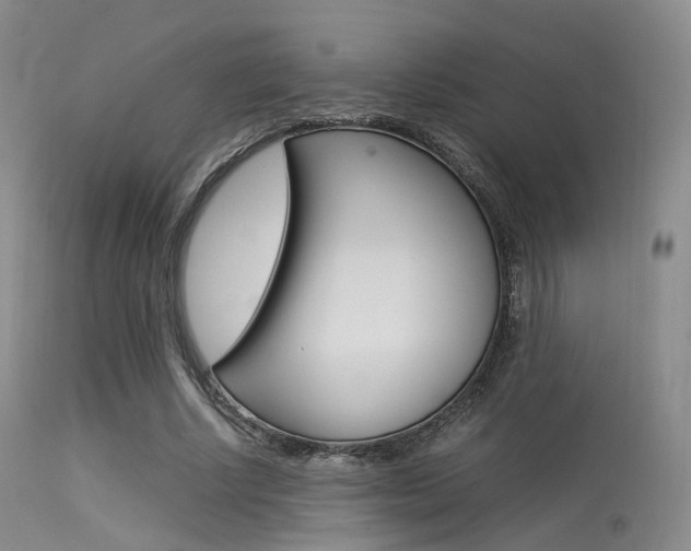 X0000113540634200909181024