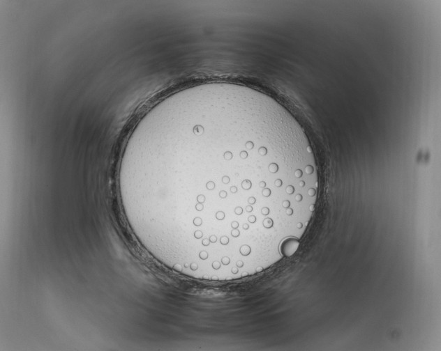 X0000113540635200909181024