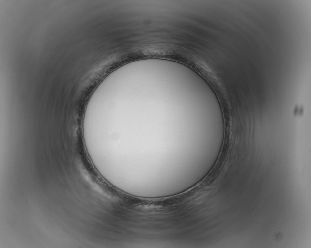 X0000113540637200909181024