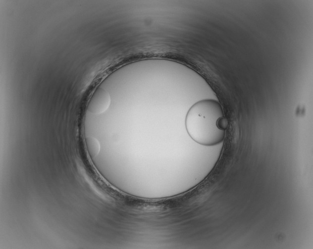 X0000113540638200909181024