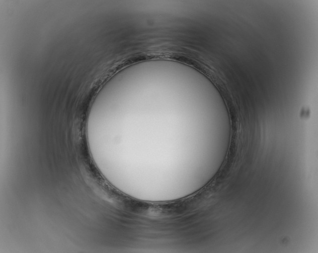 X0000113540641200909181024