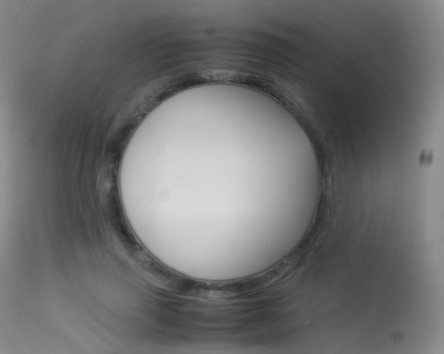 X0000113540645200909181025