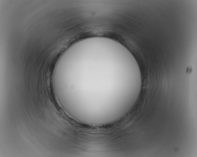 X0000113540646200909181025