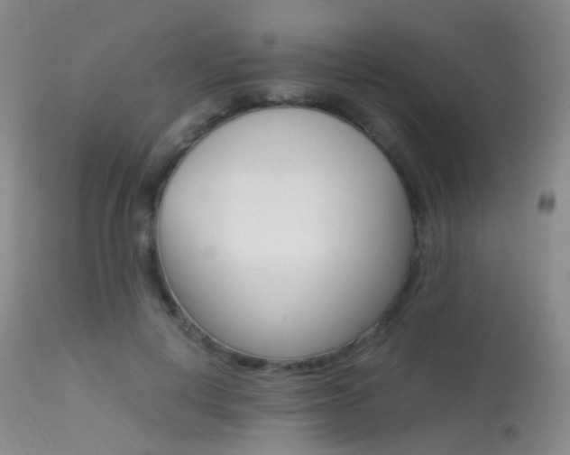 X0000113540648200909181025