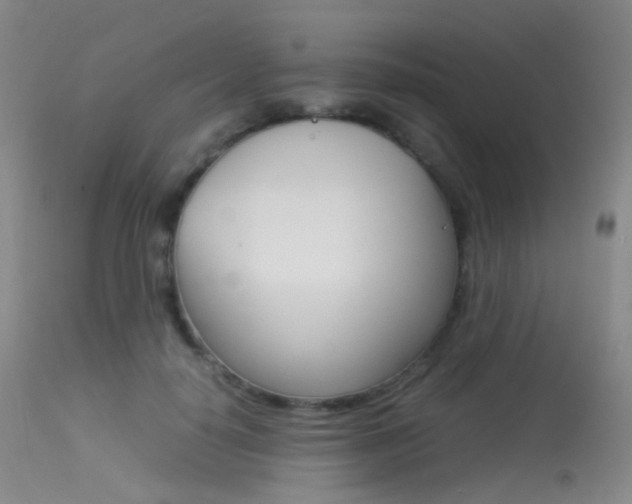 X0000113540650200909181025