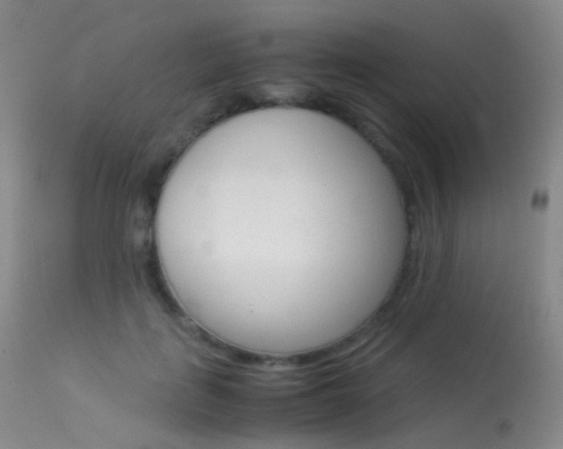 X0000113540651200909181025
