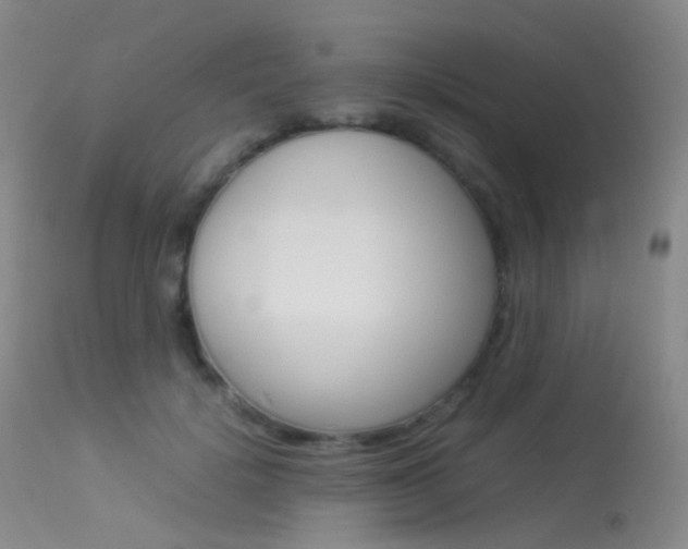 X0000113540652200909181025