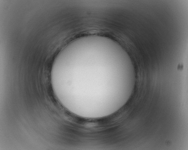 X0000113540653200909181025