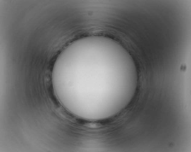 X0000113540654200909181025