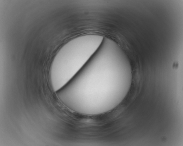X0000113540655200909181025