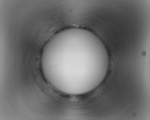 X0000113540656200909181025