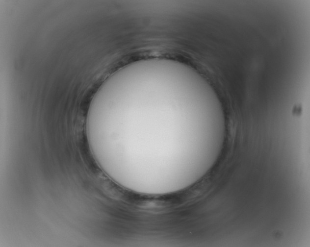 X0000113540657200909181025
