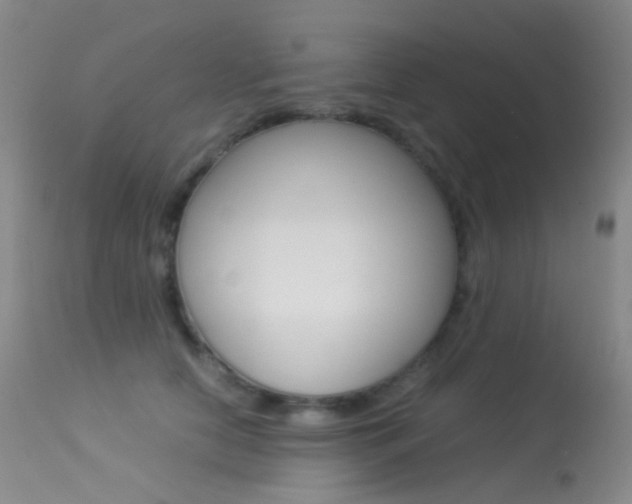 X0000113540658200909181025
