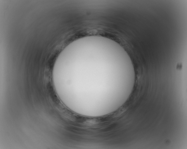 X0000113540659200909181025