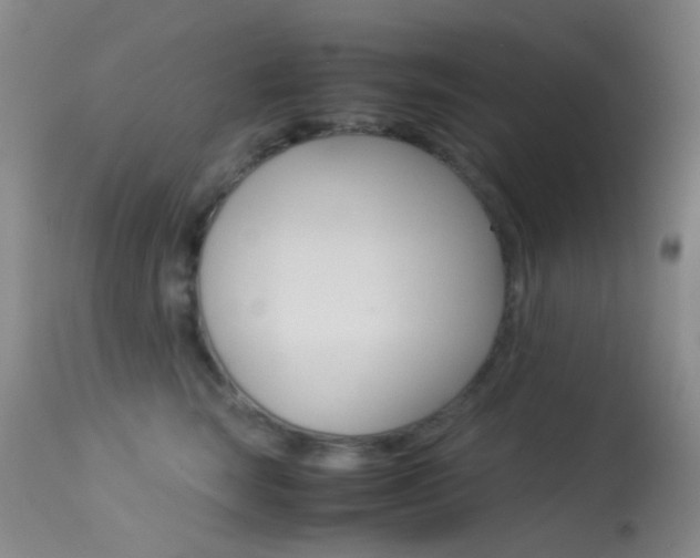 X0000113540663200909181025