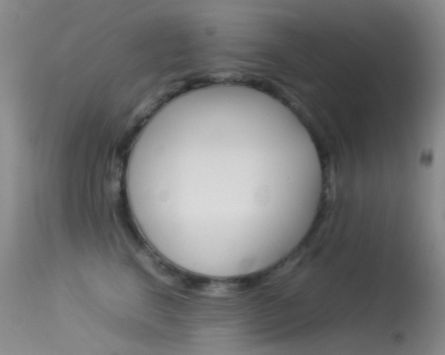 X0000113540664200909181025