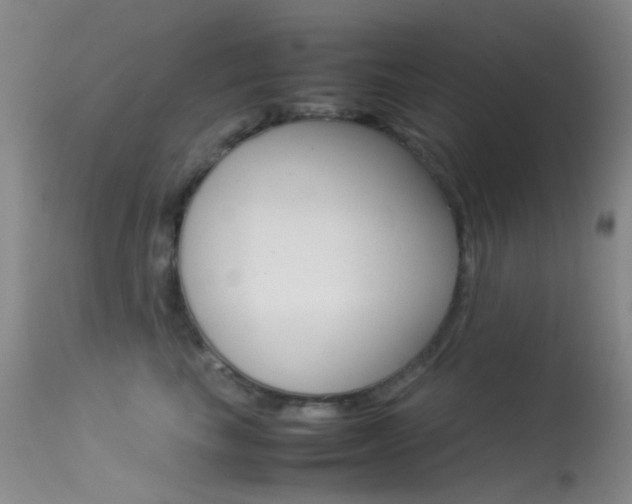 X0000113540665200909181025