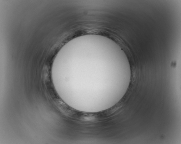 X0000113540667200909181025