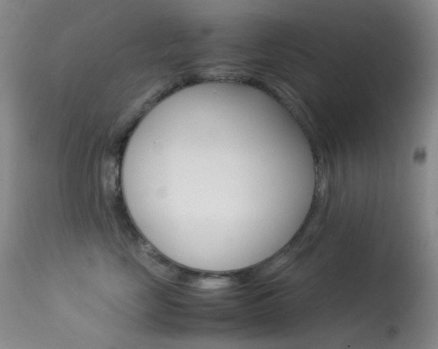X0000113540669200909181025