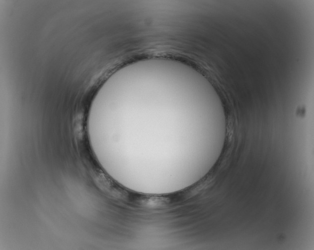 X0000113540670200909181025