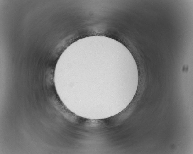 X0000113540672200909181025