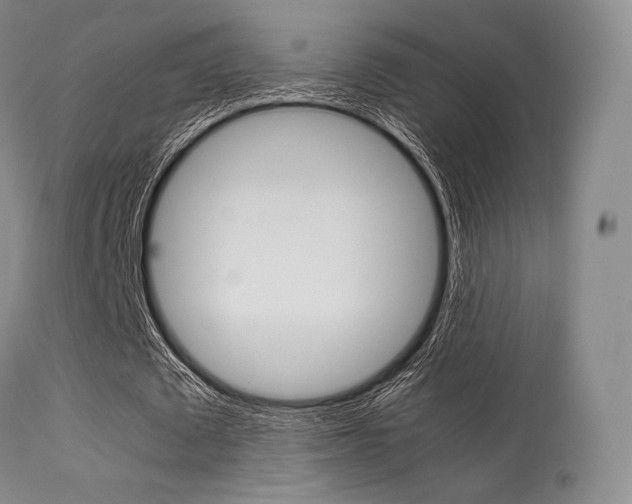X0000113540673200909181024