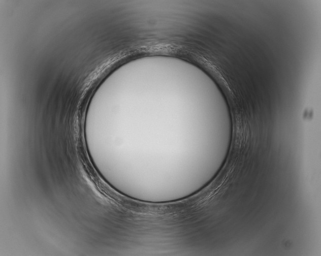 X0000113540674200909181024