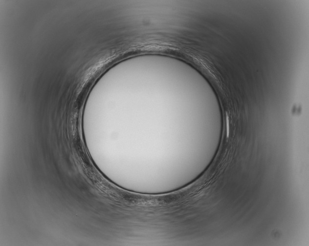 X0000113540675200909181024