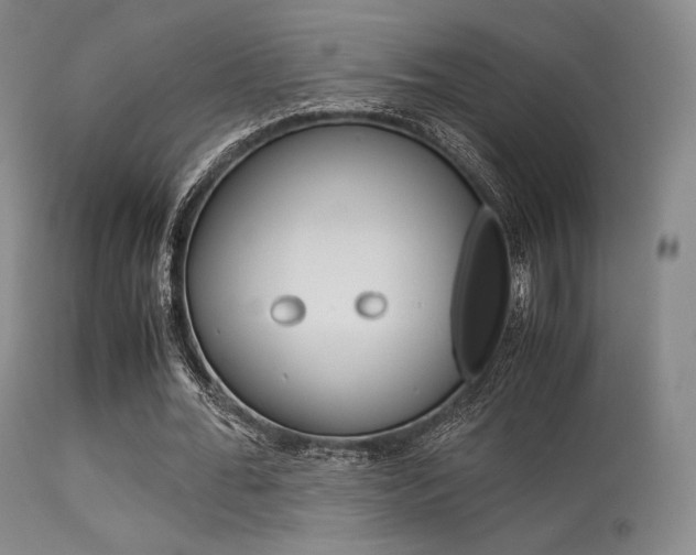 X0000113540676200909181024