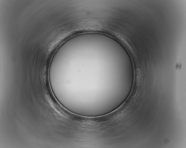 X0000113540677200909181024