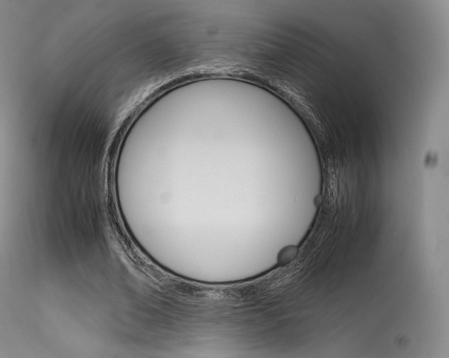 X0000113540678200909181024