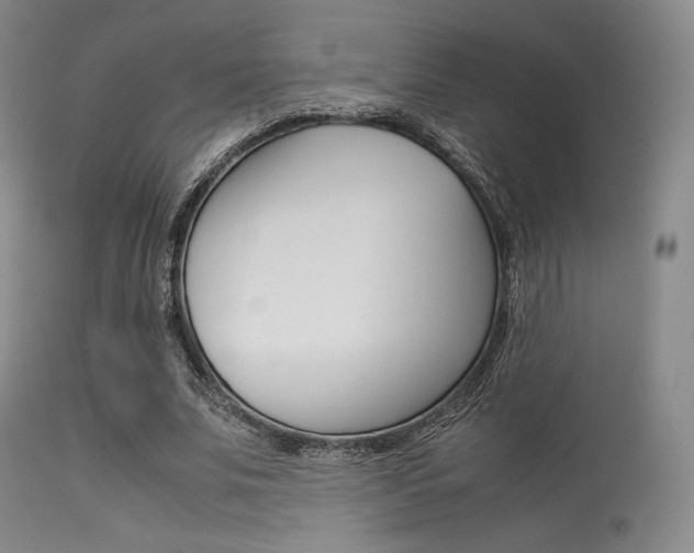 X0000113540679200909181024