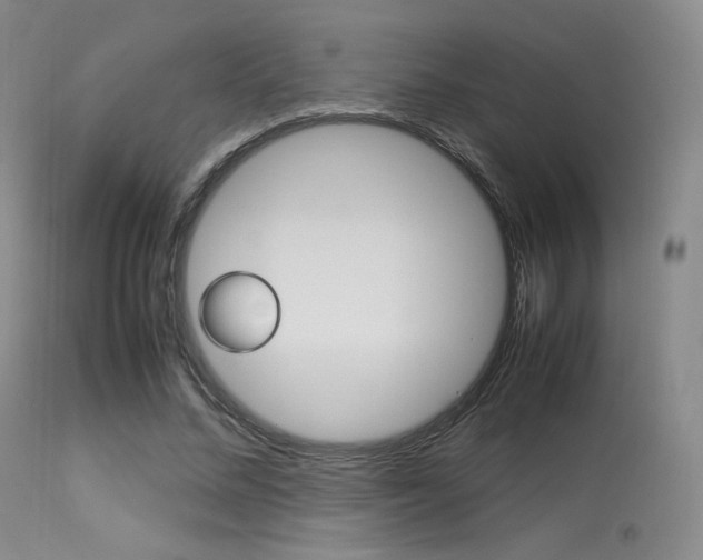 X0000113540684200909181024