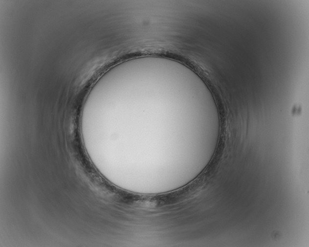 X0000113540687200909181024