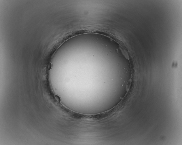 X0000113540689200909181024