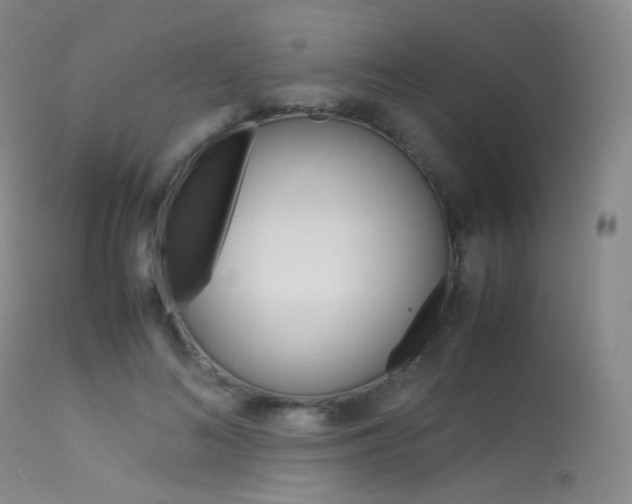 X0000113540692200909181024